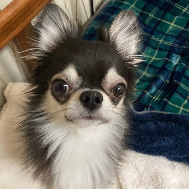 5fcbe6c7 78a8 4555 bb94 bb04d5621072 1645365767964