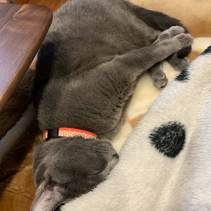 5fcbefac 961f 4a0b ac98 b7251f44c547 1616379780218