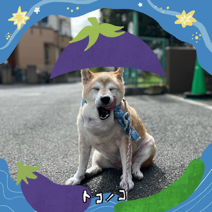 5fcc0493 0355 42b8 9ed4 72e978cab13b 1755056000795