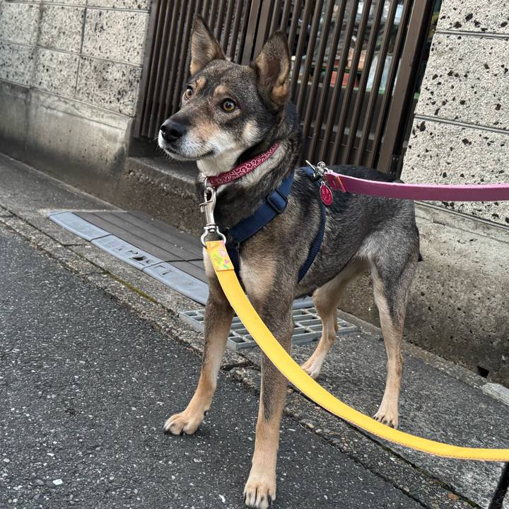 5fcc0b21 53d2 4972 b609 48b803f2c3a7 1765940586032