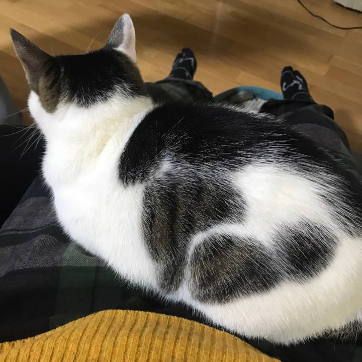 5fcc2120 b311 476c b0c1 4374f143dca8 1612613378487