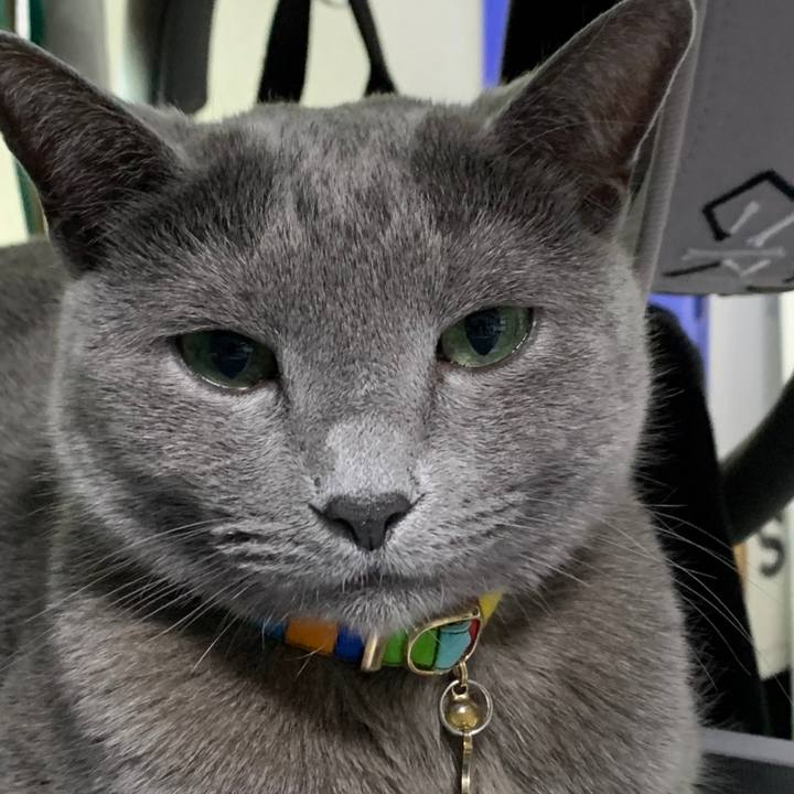 5fcc29bb e399 481f 9f49 635baa14f631 1675986097527