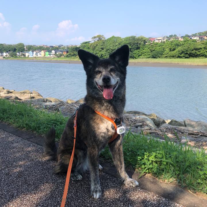 5fcc5b14 c0ad 4813 8a70 04789d6c4a23 1686832138922