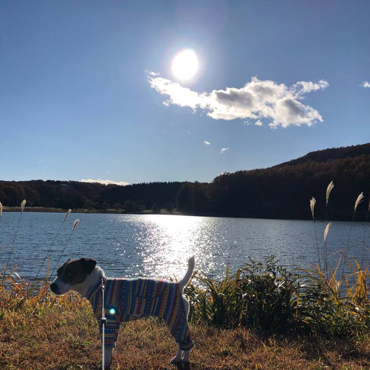 5fcd0c5a a35f 46a9 94fc 404a59161314 1573726994456