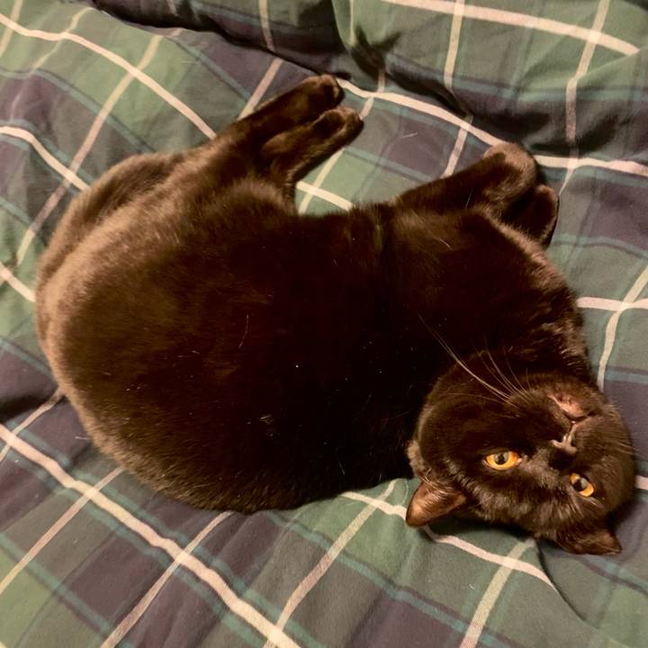 5fcd5910 373a 4ae2 8f62 c0606db60c7c 1646400199457