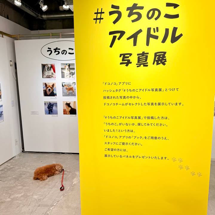 5fcd6dd9 20d1 41a6 90df 206c32a358e0 1762211366022