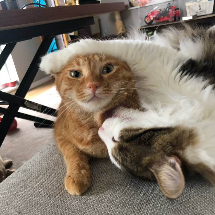 5fcd886b df41 4542 9ef5 550f2843bc8b 1660547698436