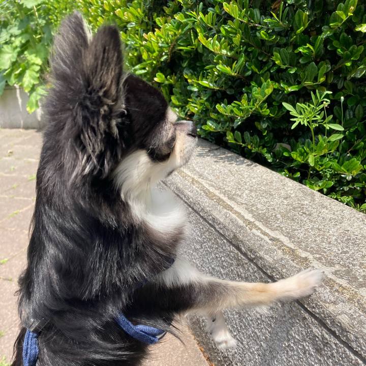 5fcdc313 fcf4 4a2a ba93 0c28444d0516 1621053902578