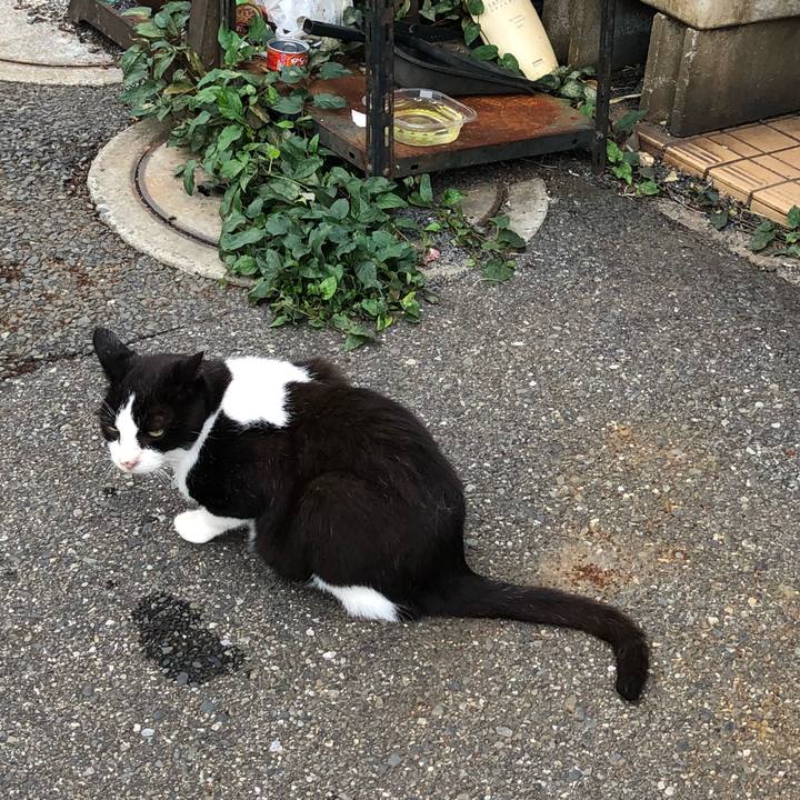 5fcdc325 29dd 484a ba2f 67901d0465dc 1538763517099