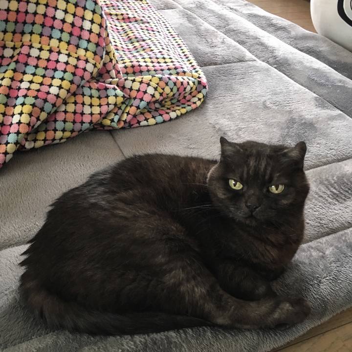 5fce3d95 f7ee 4117 b8e5 3207dd73dc71 1555243051797