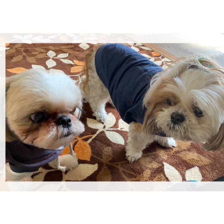 5fce68af 710a 40ec a247 0ac8f0e15dbc 1613907081200