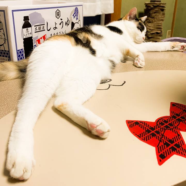 5fce7500 f321 4a57 95c8 d864eb3d1fda 1574560416628