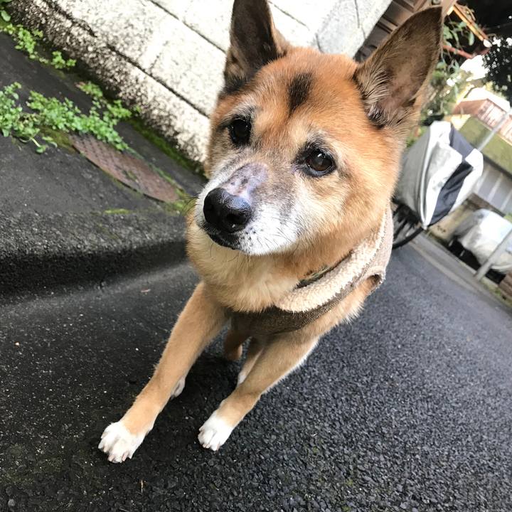 5fce94c6 0395 4cc0 87dc e3a854c8858c 1550614995294