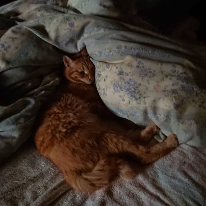 5fce9aed 47f5 479d b8e2 a4a68fc7c6fd 1661557065172