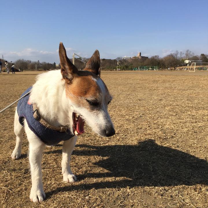 5fcec8a6 a923 4cd9 8ada aef1bf8a69c7 1613345249712