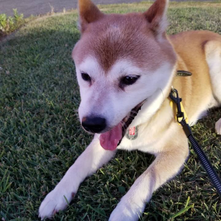 5fceca86 ff9f 4d50 bb2a f53aa264cdc6 1598348418111