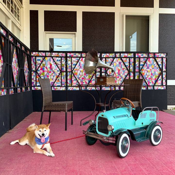 5fcecba6 30bb 4019 a153 1cef1978e61e 1568020033024