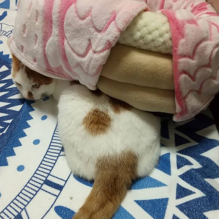 5fceed13 9f55 4259 880f 1630651a0e24 1712319363887