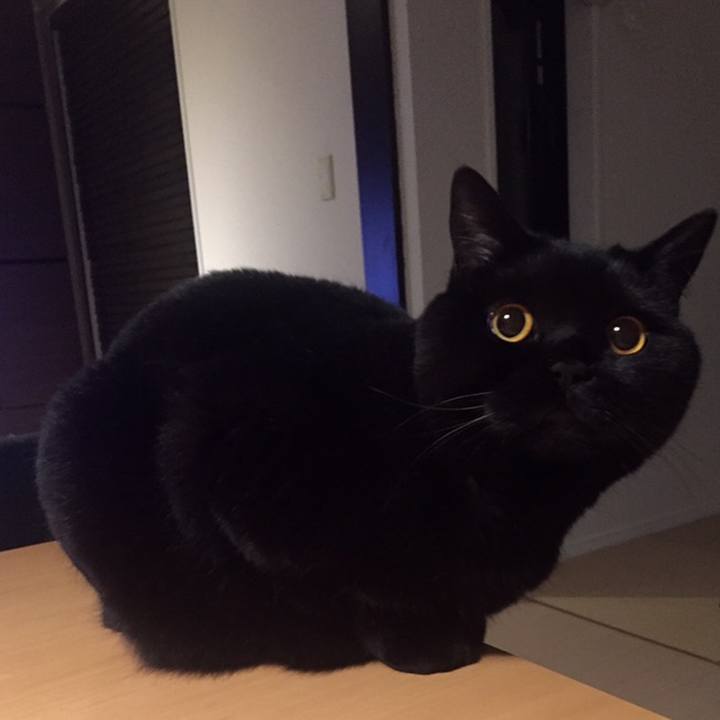 5fceee86 08d5 4ba1 a149 4f5694e9041f 1558360848100