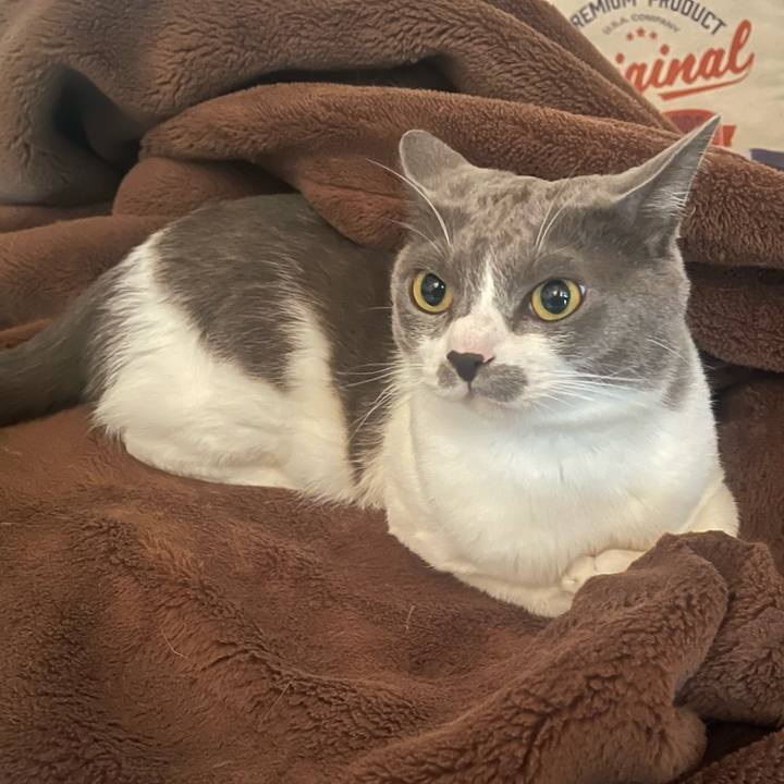 5fcef52a e00c 4a67 ba02 6d10506c8417 1666912760509