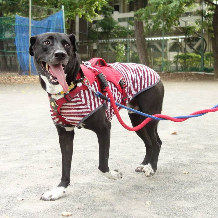 5fcef7a5 3c3a 47ed 9456 532b26f4840e 1598829935270