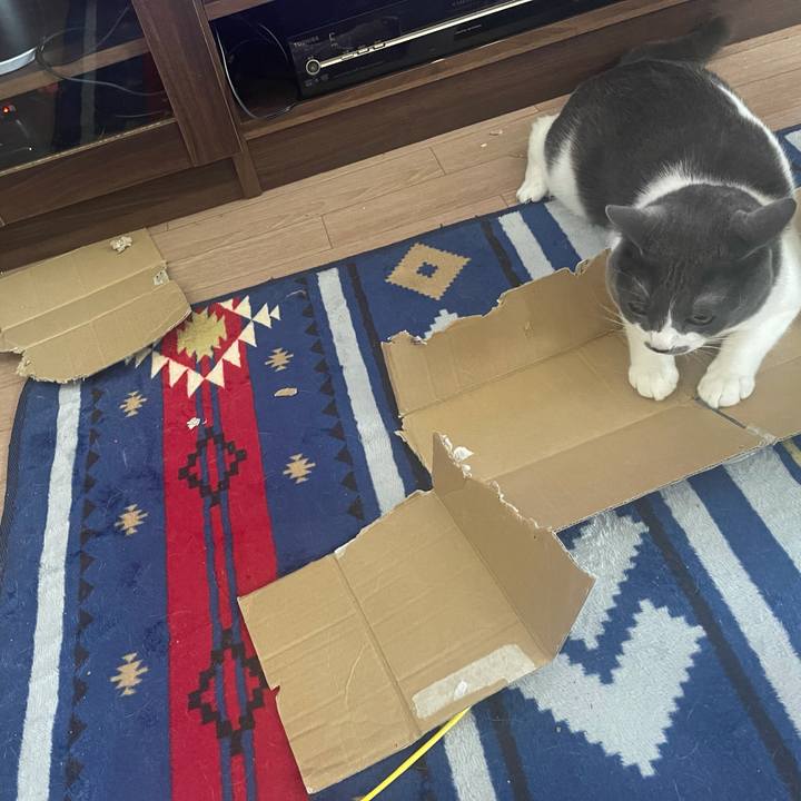 5fcf40e0 7b25 481f 8bde 72dacbb8df24 1624147654812