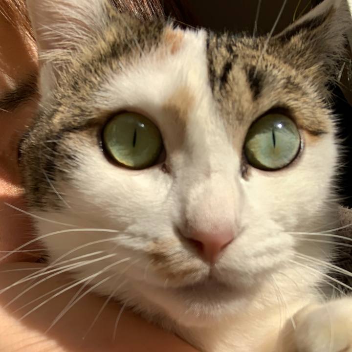 5fcf6999 a2a9 4eb6 bc1c a8f78f7d43e7 1646206093237