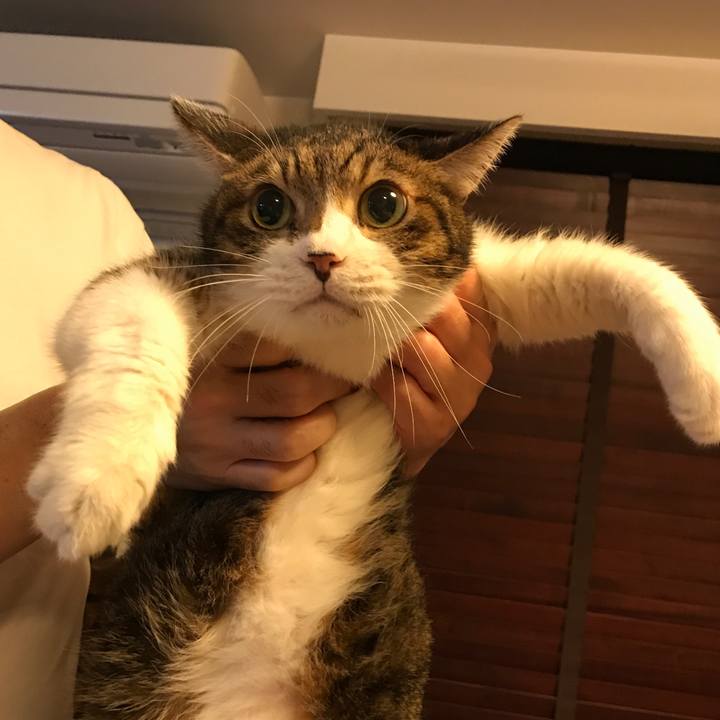 5fcf7fb4 4f26 4415 b172 f3b2e93fe390 1539577800943