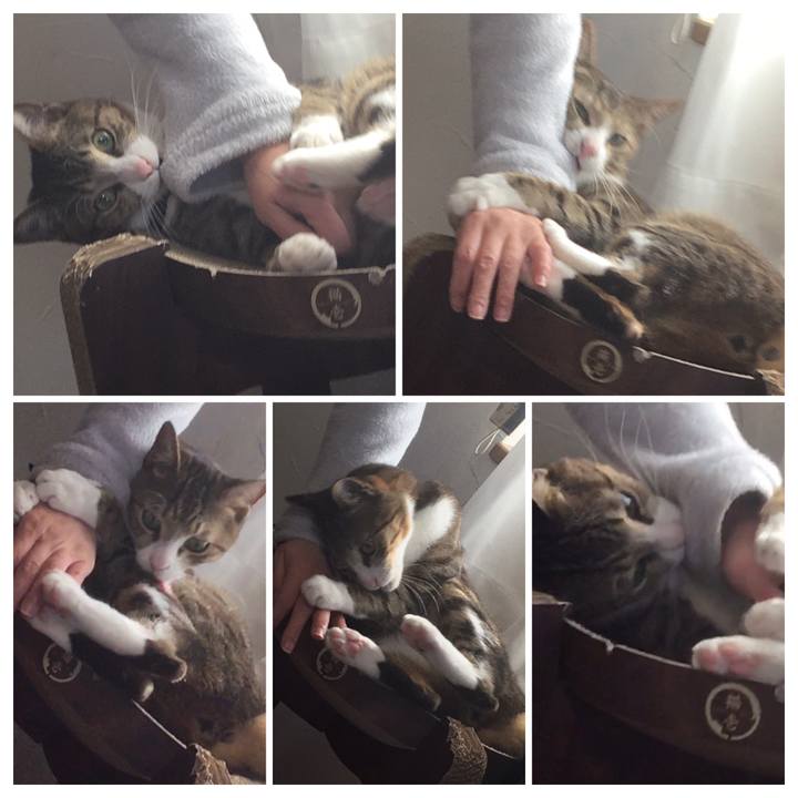 5fcf8cfd 898a 43b2 867a 659370feb53f 1678276837675