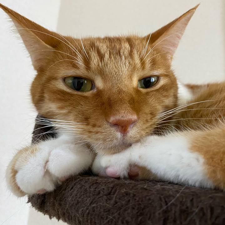 5fcfaf51 f7b1 42e6 bc22 aa85f55f33d6 1601108131473