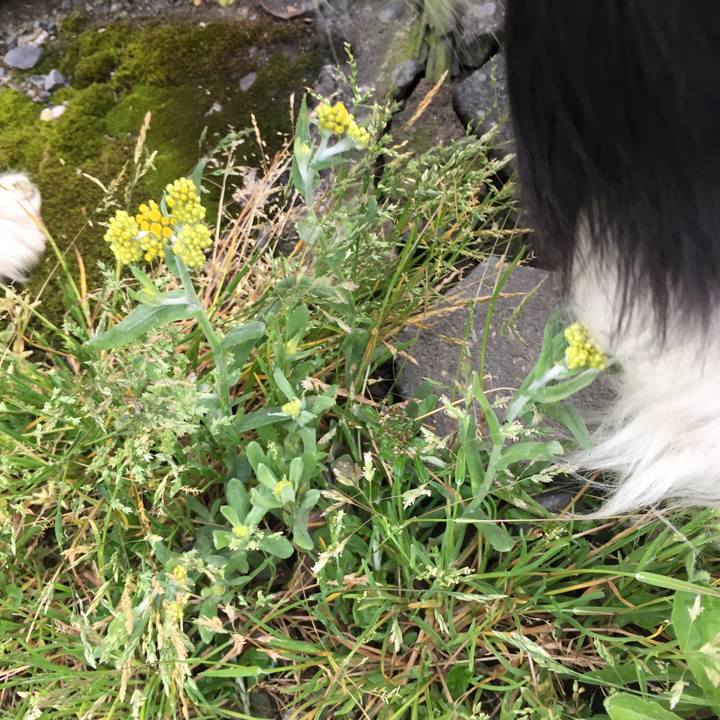 5fcfba03 c8c4 4ad4 a32e de55dcefd9bb 1586906790473