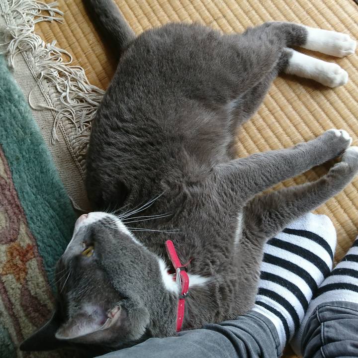 5fcfc022 c36a 4460 b24b ab001e9434e3 1508820891328