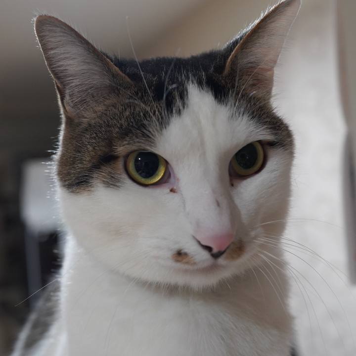 5fcfd257 b797 48e0 b6ef 12c4216cef55 1612018248345