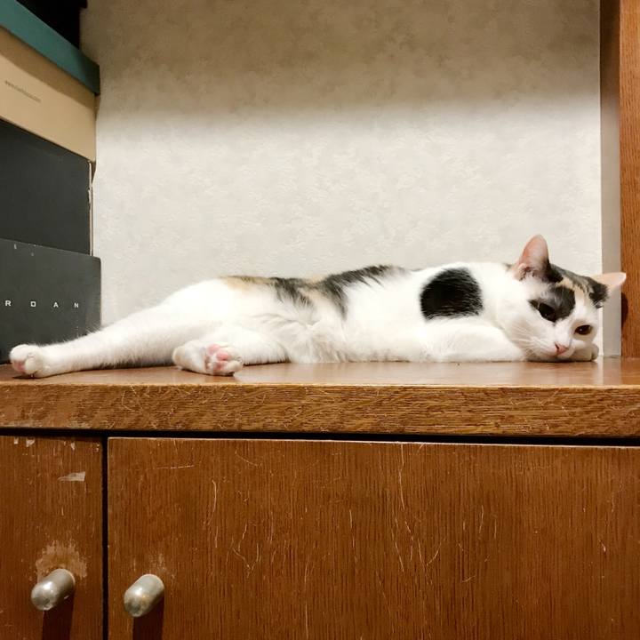 5fd021c6 ecb0 42b3 925d 678affe4d34c 1536888294108