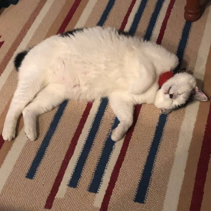 5fd02593 95aa 4198 82f5 d42112f9cf3e 1557573828243