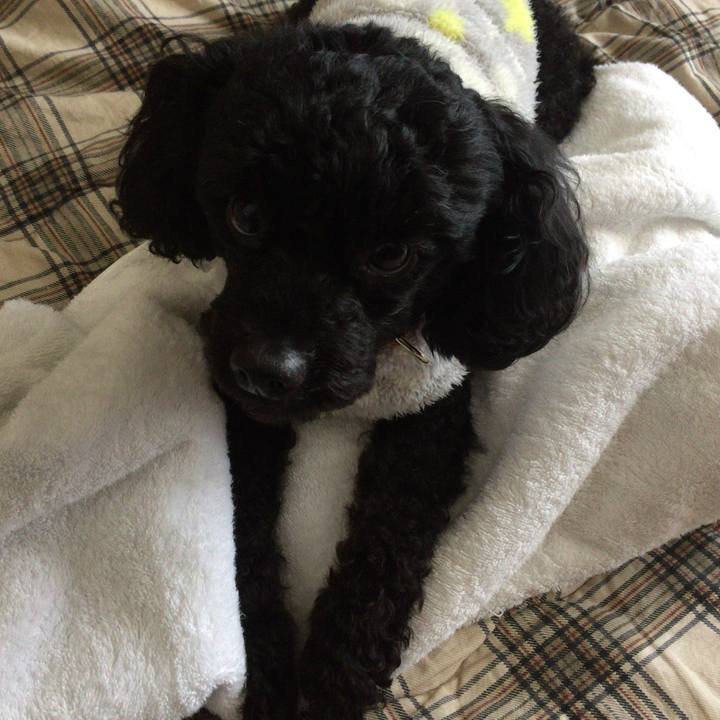 5fd0358d 07b6 454f 8ef4 2e4d43e35197 1517193159049