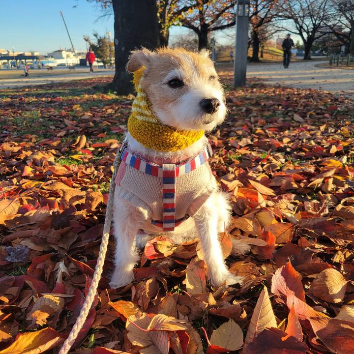 5fd03acc 445f 4812 9ba9 13d4447af855 1764382171956