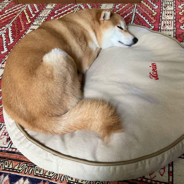 5fd04fb9 fd78 4902 8041 aec895b3606d 1694585479670