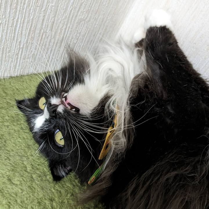 5fd06b9c 2ba5 4319 ba27 a4d0a6a30e22 1697419161128