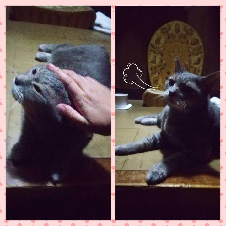 5fd0a3b3 01d3 4f98 8ab8 d3309936851d 1664186743145