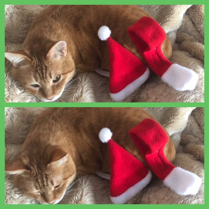 5fd0c4cc e869 40a3 961d b7bdb87d2e0b 1638082197931