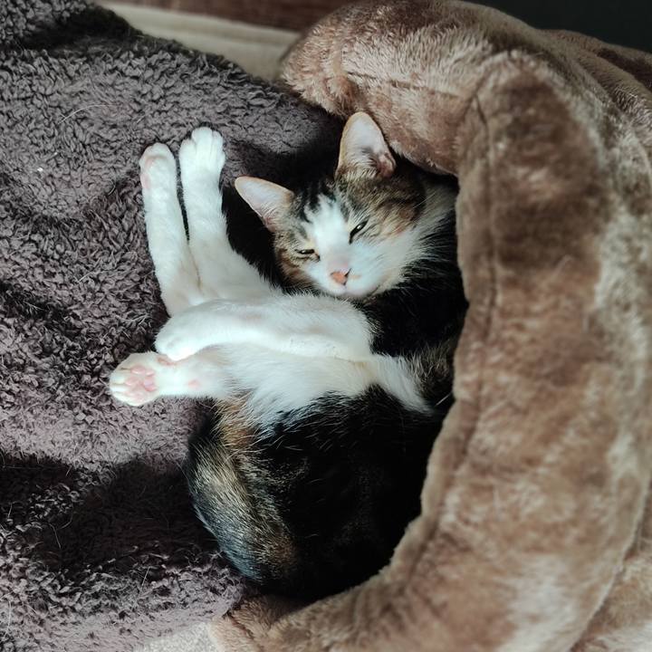 5fd0e35c 7df7 4727 8664 42f203fe51bd 1646615687348