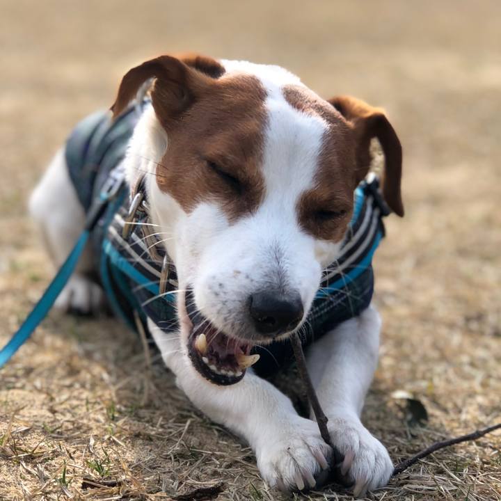 5fd0e8a4 a107 4b30 b291 78fb0f4482d7 1646650683555