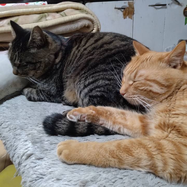 5fd0ebf2 5f30 42ce a160 5d4366fc0b05 1671437626054