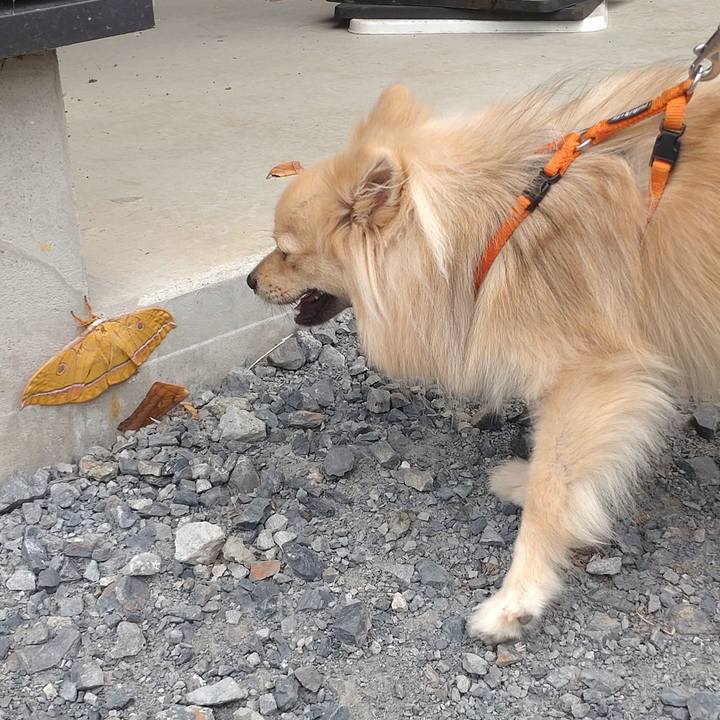 5fd0f965 4288 4d24 b4a1 183255983492 1756432394923