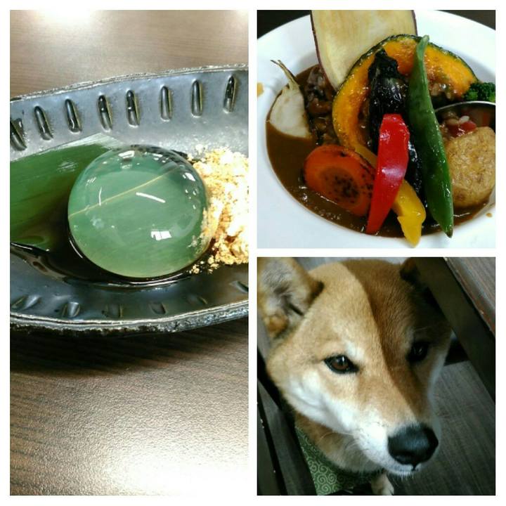 5fd1b321 6b64 4dc0 a02b 5dedec572ed5 1529142209521