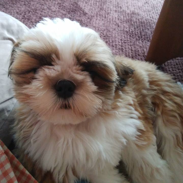 5fd1c293 9152 4ba9 ae29 ccc1728ec3d1 1539310943426