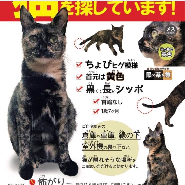 5fd1f051 96e4 483f b47e 7182132a1d96 1509671051100