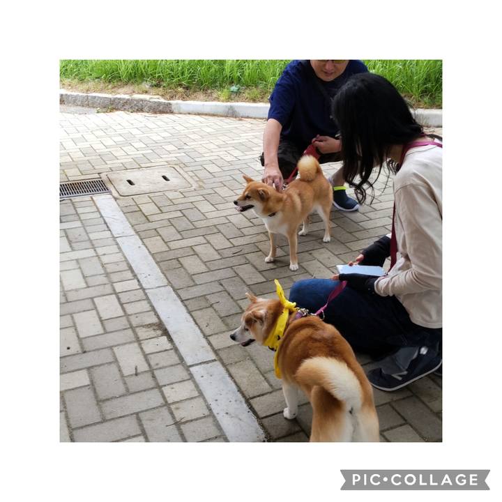 5fd1f4cc 30aa 4ee5 99e4 abb83f4ad82c 1715550250955