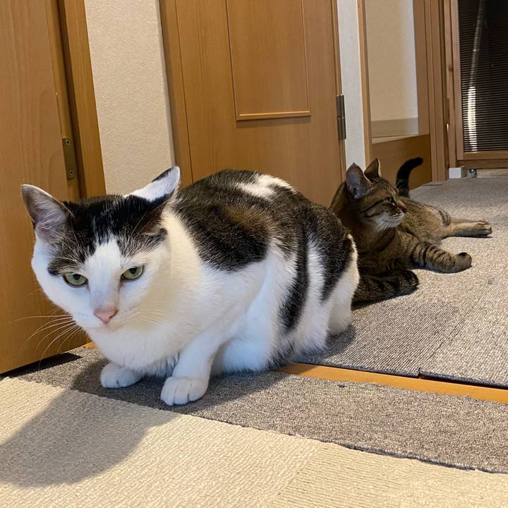 5fd1fd4d 7a79 4990 b9cf ab0e051ad6e0 1763002937967